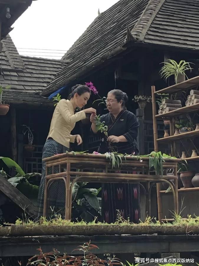 绝地求生坦克版2