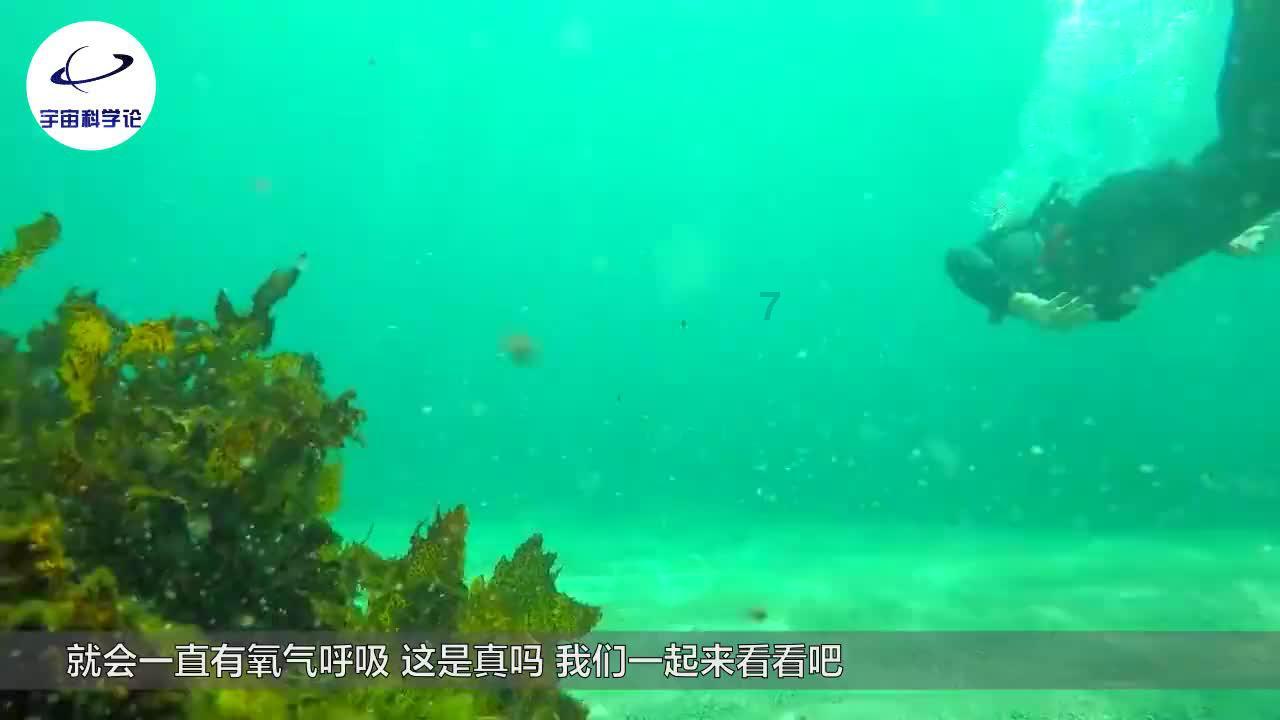 67号仓库